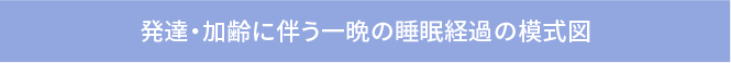 発達・加齢に伴う一晩の睡眠経過の模式図