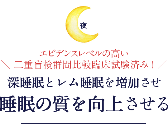 夜 深睡眠とレム睡眠を増加させ