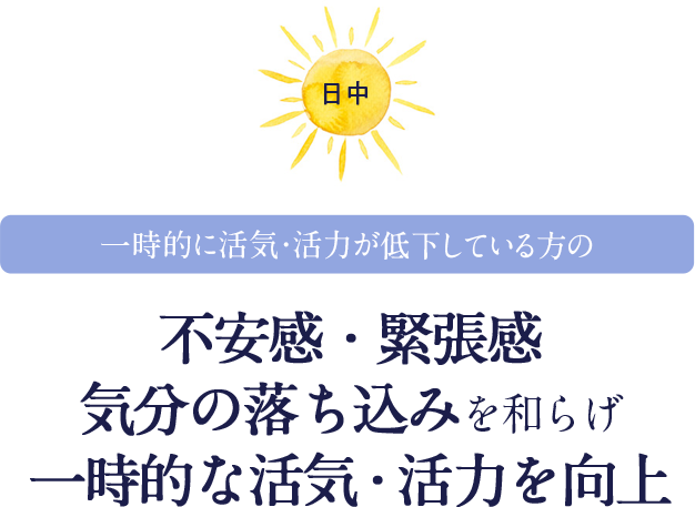 一時的に活気・活力が低下している方の不安感・緊張感気分の落ち込みを和らげ一時的な活気・活力を向上