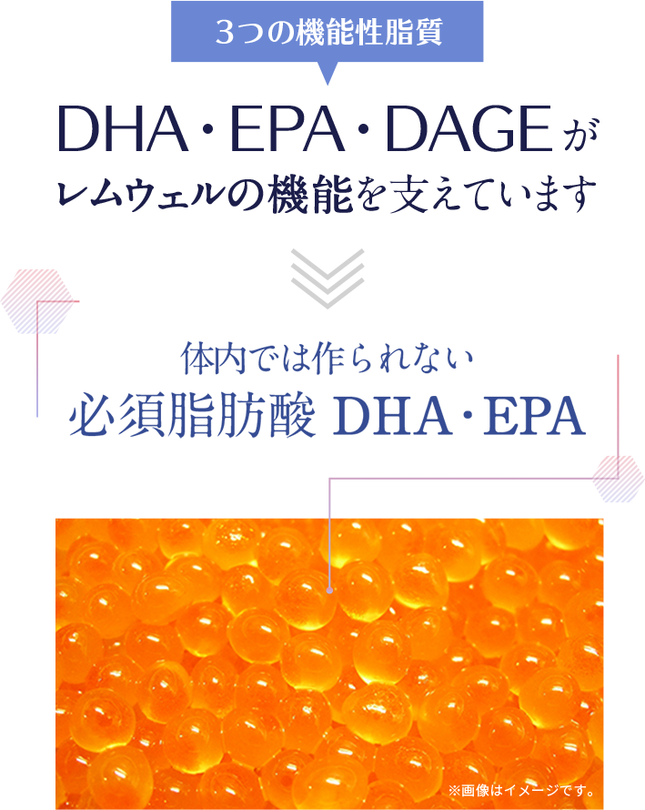 DHA・EPA・DAGEレムウェルの機能を支えています