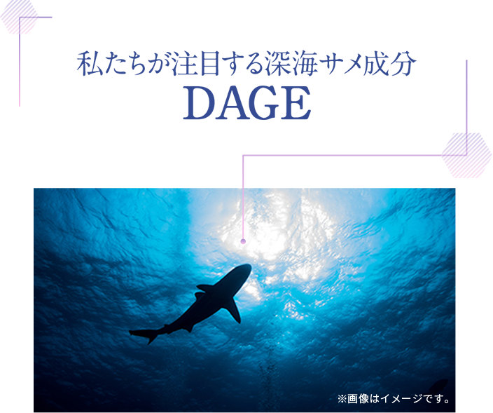 私達が注目する深海サメ成分す